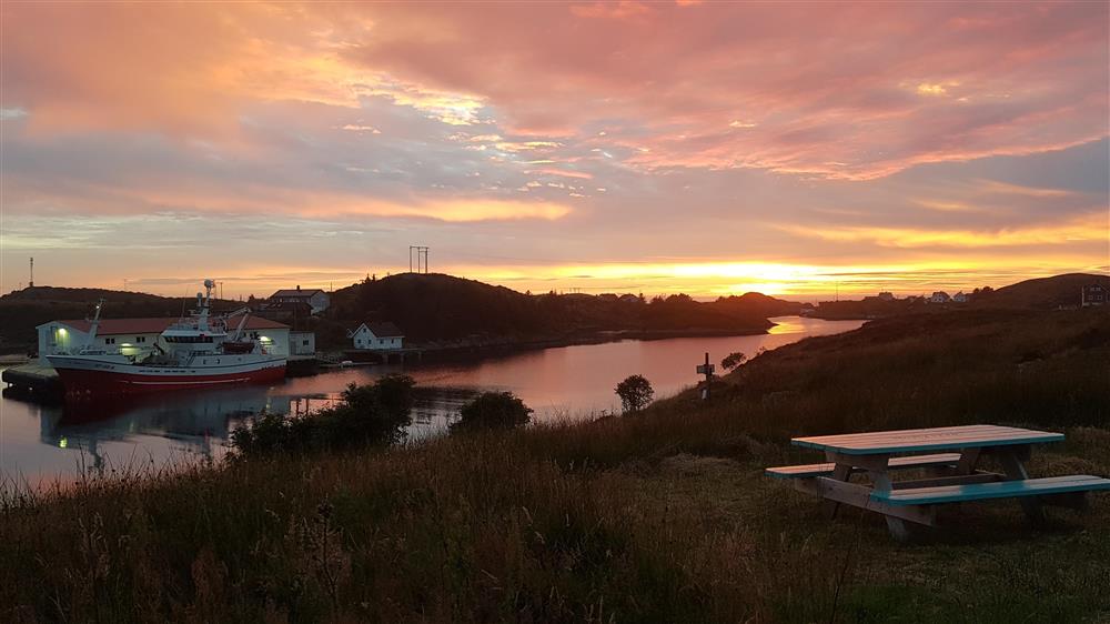 Klikk for stort bilete